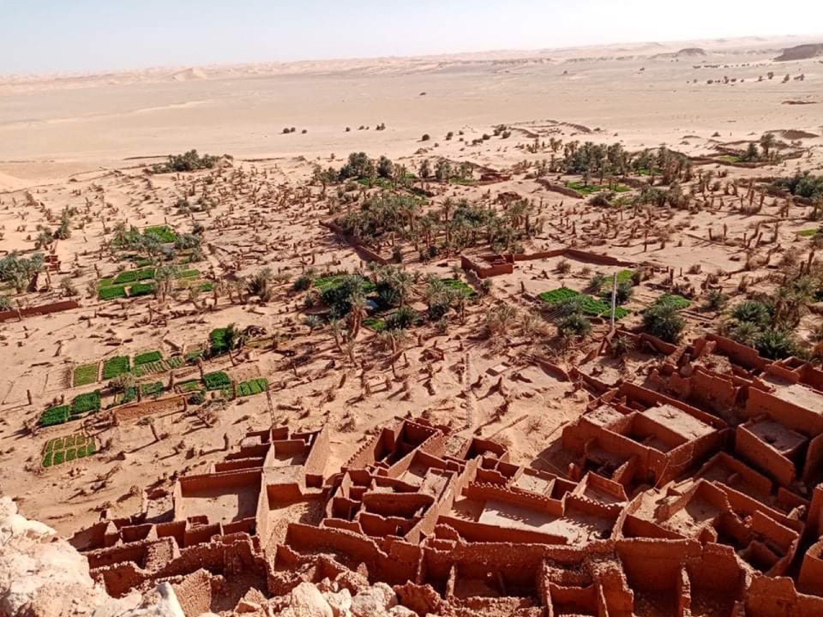 An old Zenata village near Timimoun in the red-earth Gourara oasis, the one place Jinx Rodger thought really worth the journey.